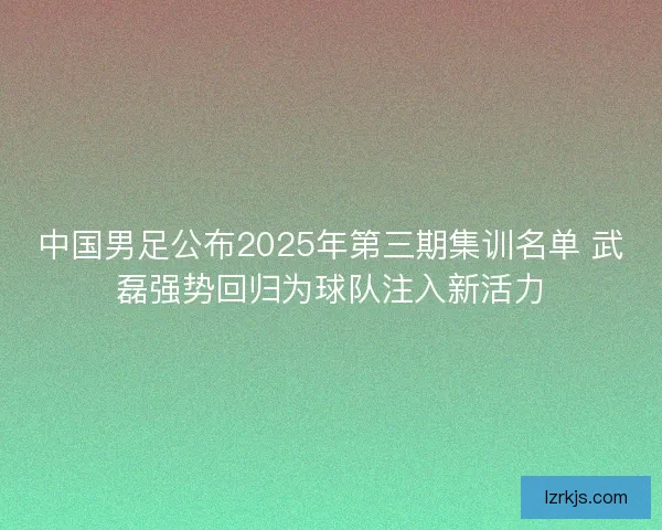 中国男足公布2025年第三期集训名单 武磊强势回归为球队注入新活力